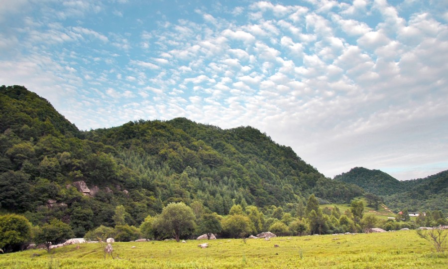 ʨ�ӻ� - ������ɫ��Ϸ����