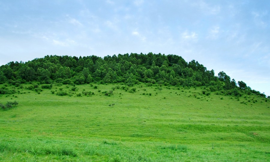 ʨ�ӻ� - ������ɫ��Ϸ����