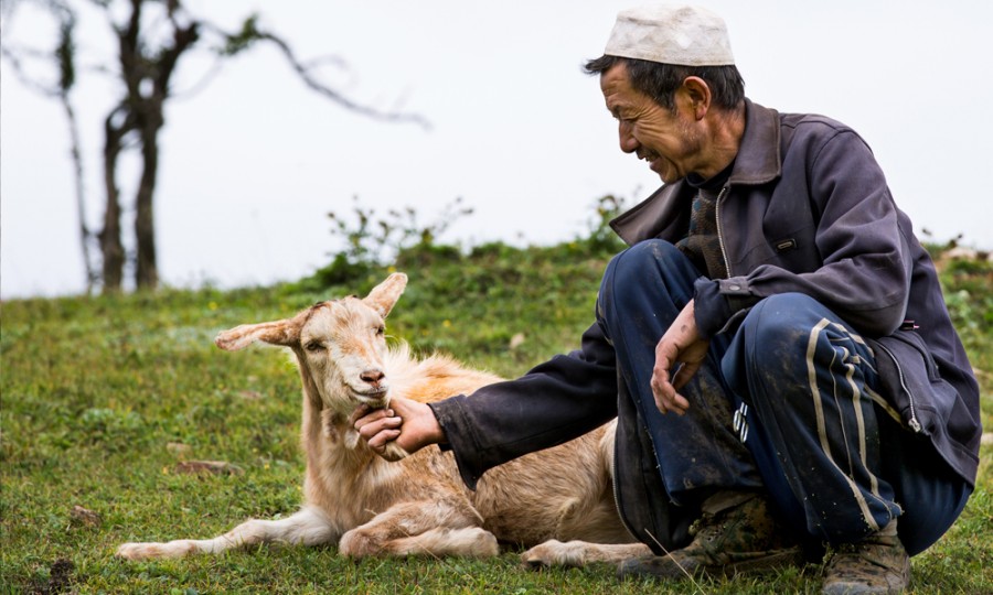 ʨ�ӻ� - ������ɫ��Ϸ����