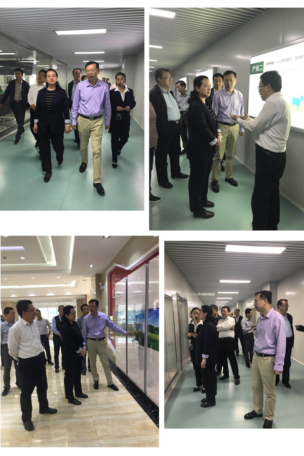 ʨ�ӻ� - ������ɫ��Ϸ����