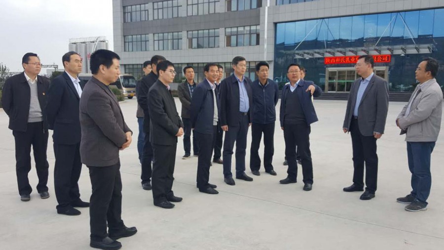 ʨ�ӻ� - ������ɫ��Ϸ����