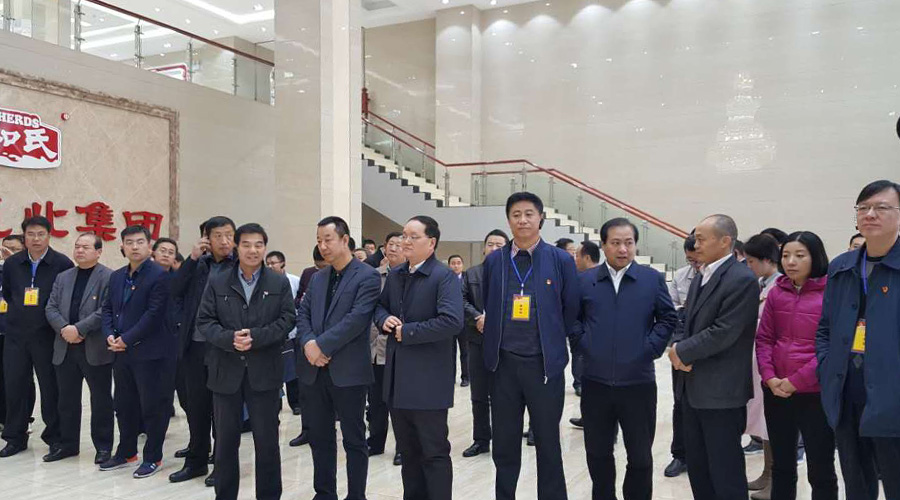 ʨ�ӻ� - ������ɫ��Ϸ����