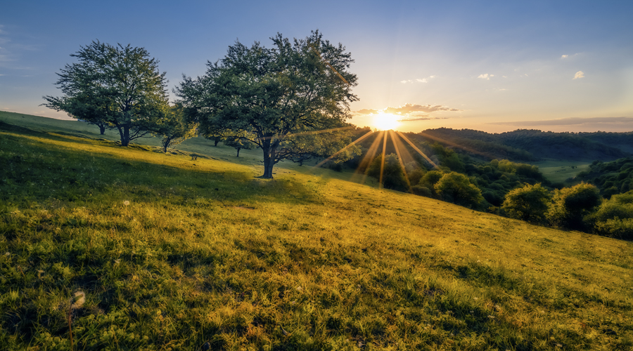 ʨ�ӻ� - ������ɫ��Ϸ����