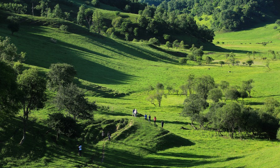 ʨ�ӻ� - ������ɫ��Ϸ����