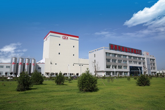 ʨ�ӻ� - ������ɫ��Ϸ����