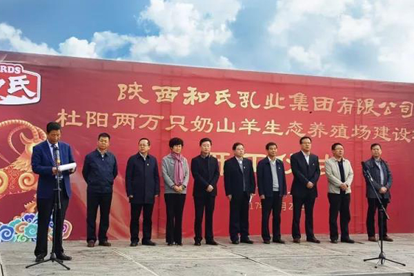 ʨ�ӻ� - ������ɫ��Ϸ����