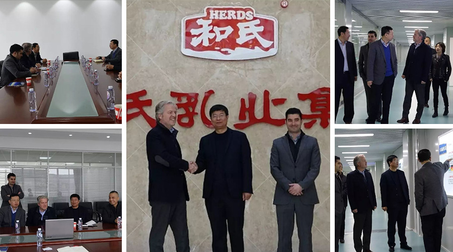 ʨ�ӻ� - ������ɫ��Ϸ����