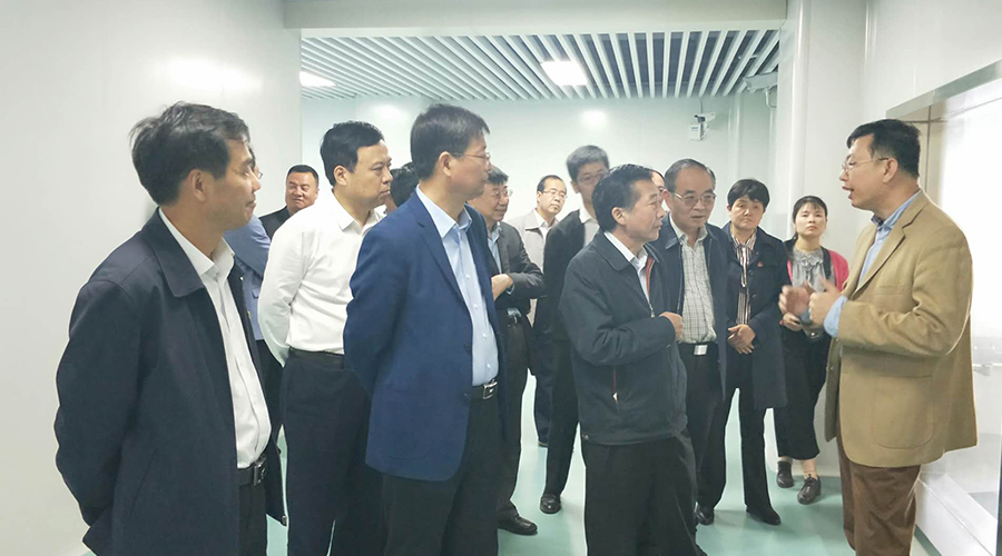 ʨ�ӻ� - ������ɫ��Ϸ����