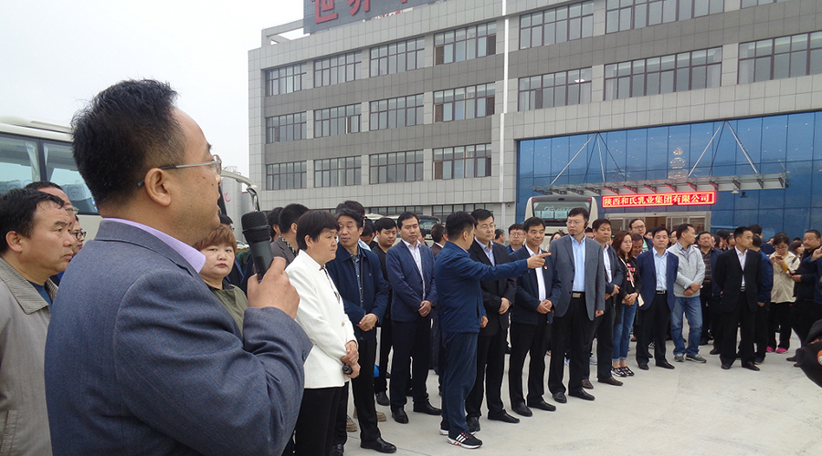 ʨ�ӻ� - ������ɫ��Ϸ����