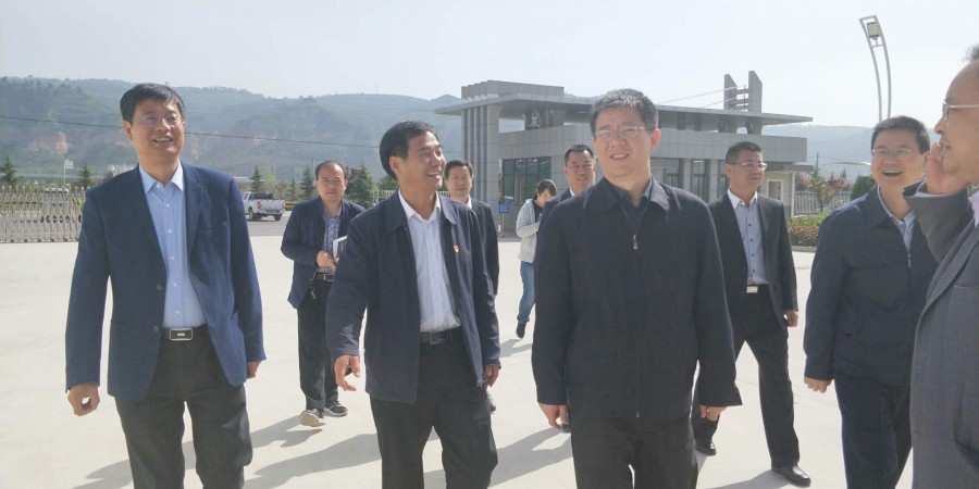 ʨ�ӻ� - ������ɫ��Ϸ����