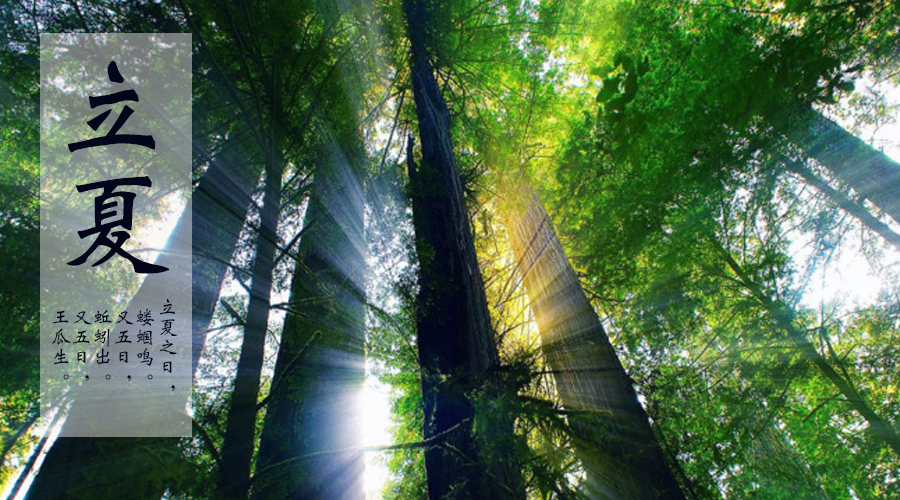 ʨ�ӻ� - ������ɫ��Ϸ����