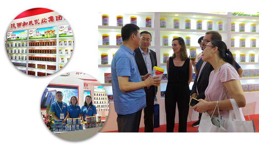 ʨ�ӻ� - ������ɫ��Ϸ����