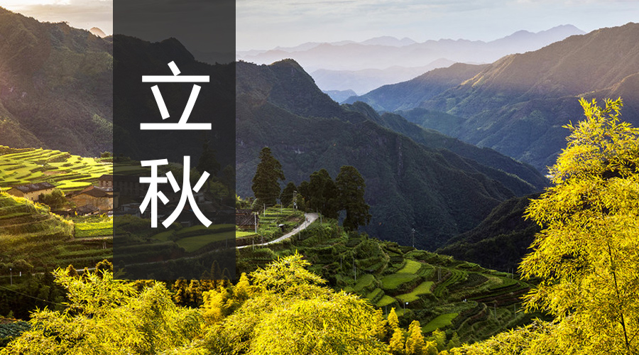 ʨ�ӻ� - ������ɫ��Ϸ����