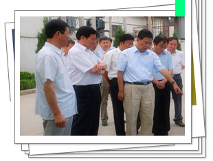 ʨ�ӻ� - ������ɫ��Ϸ����