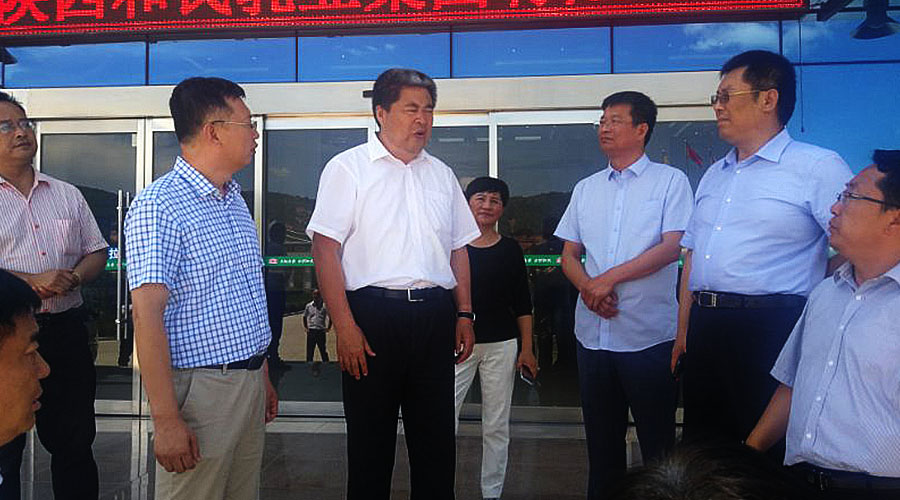 ʨ�ӻ� - ������ɫ��Ϸ����