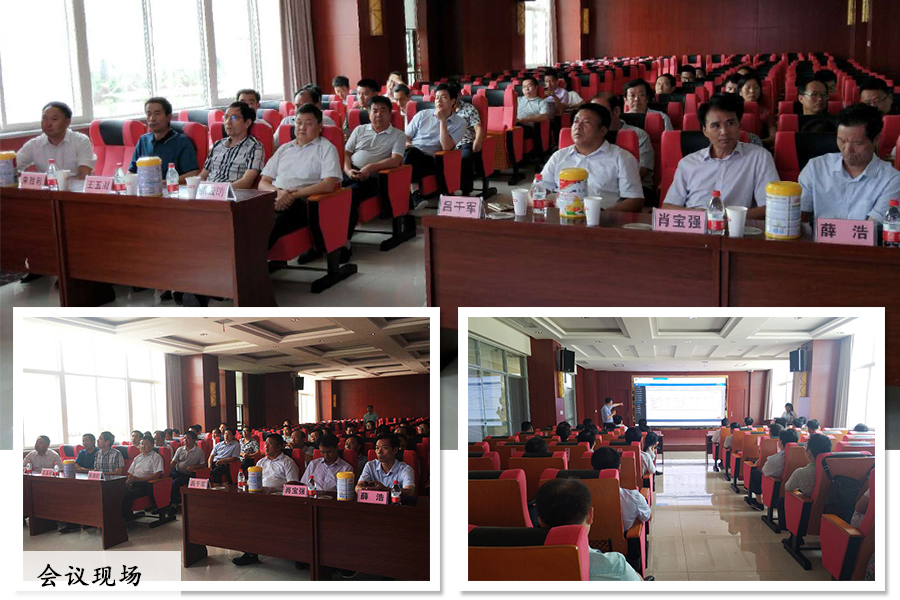 ʨ�ӻ� - ������ɫ��Ϸ����