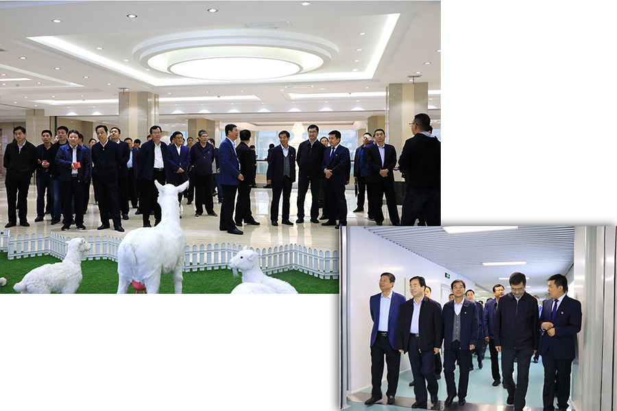 ʨ�ӻ� - ������ɫ��Ϸ����