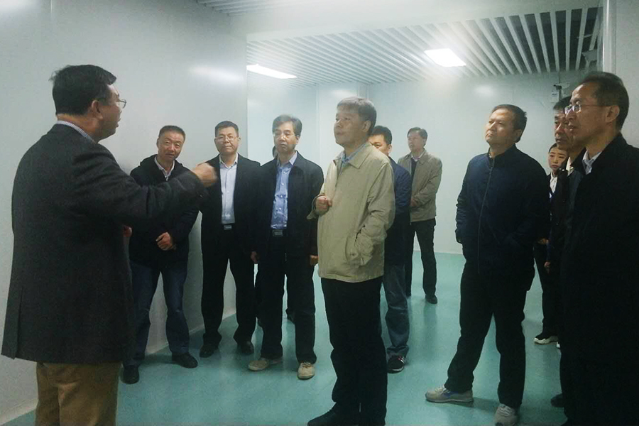 ʨ�ӻ� - ������ɫ��Ϸ����