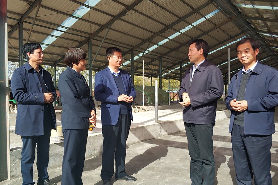 ʨ�ӻ� - ������ɫ��Ϸ����