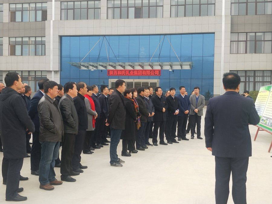 ʨ�ӻ� - ������ɫ��Ϸ����