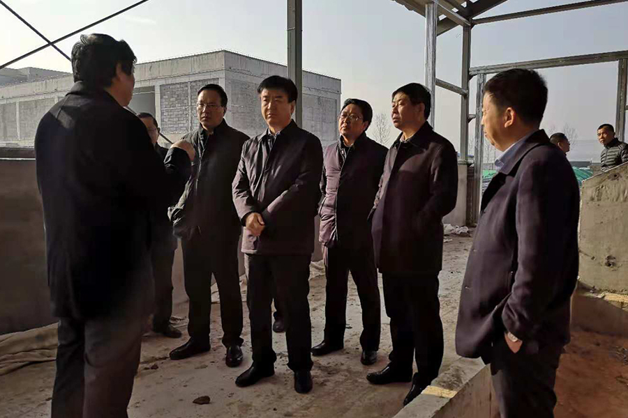 ʨ�ӻ� - ������ɫ��Ϸ����