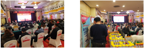 ʨ�ӻ� - ������ɫ��Ϸ����