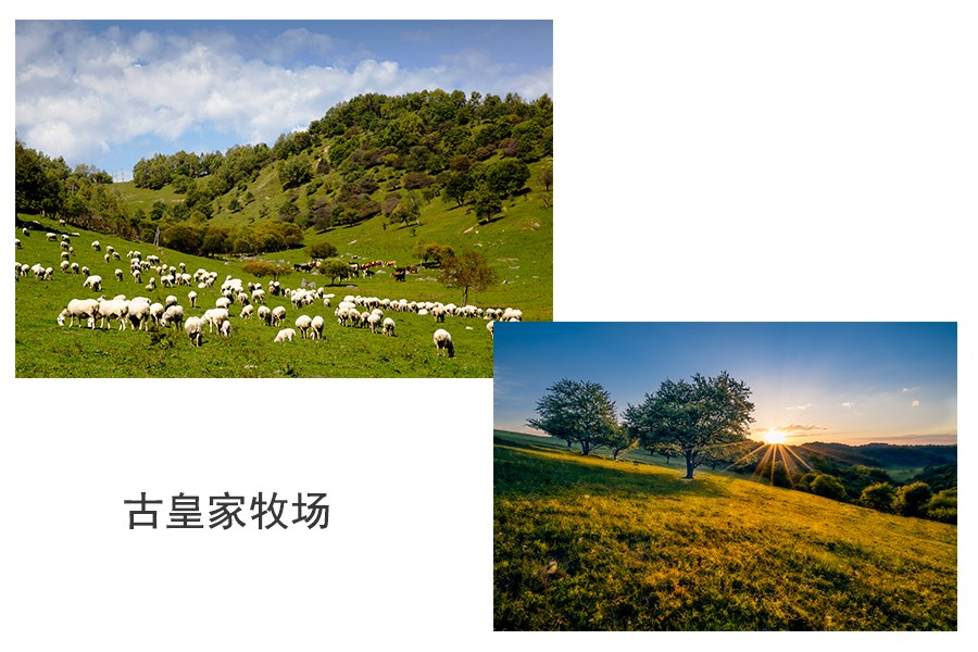 ʨ�ӻ� - ������ɫ��Ϸ����