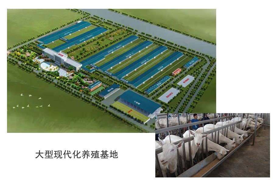 ʨ�ӻ� - ������ɫ��Ϸ����