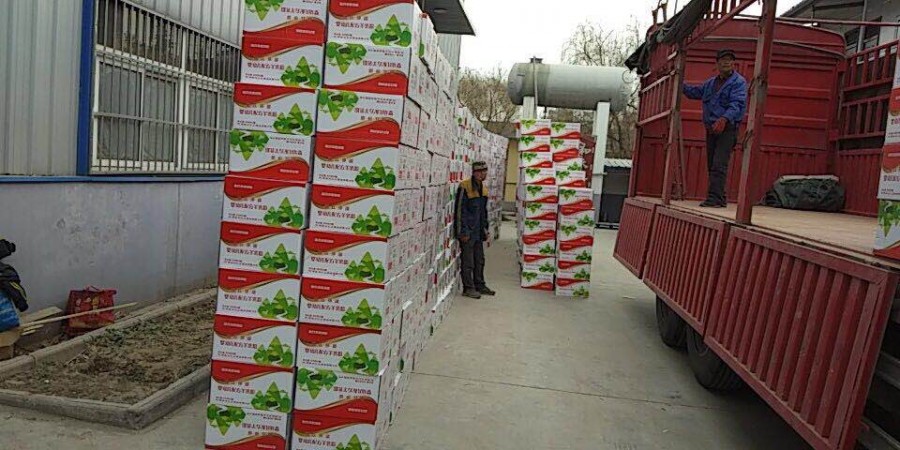 ʨ�ӻ� - ������ɫ��Ϸ����