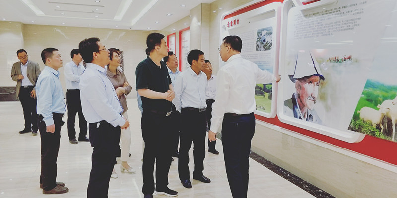 ʨ�ӻ� - ������ɫ��Ϸ����