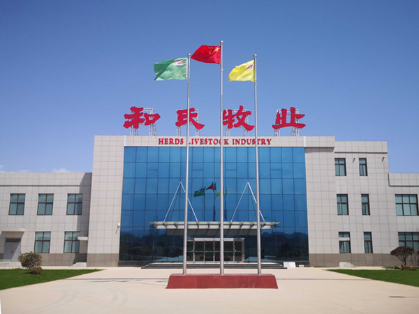 ʨ�ӻ� - ������ɫ��Ϸ����