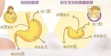 ʨ�ӻ� - ������ɫ��Ϸ����