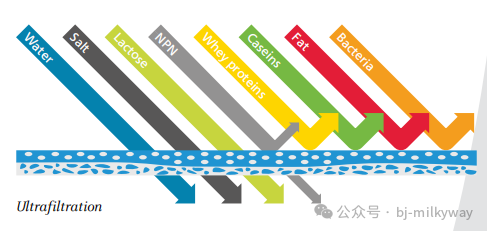 ʨ�ӻ� - ������ɫ��Ϸ����