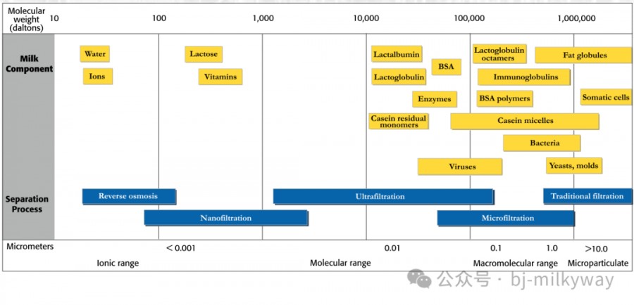 ʨ�ӻ� - ������ɫ��Ϸ����