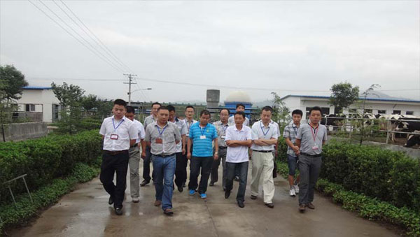 ʨ�ӻ� - ������ɫ��Ϸ����