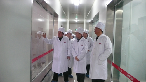 ʨ�ӻ� - ������ɫ��Ϸ����