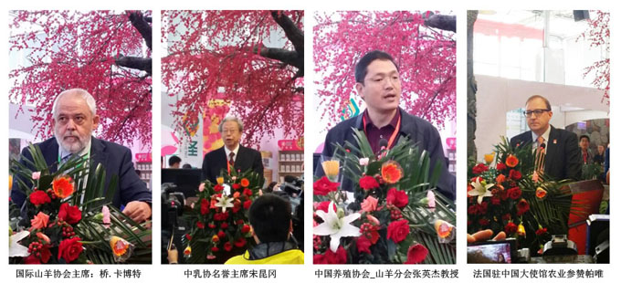 ʨ�ӻ� - ������ɫ��Ϸ����