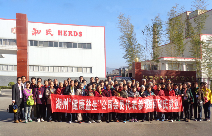 ʨ�ӻ� - ������ɫ��Ϸ����