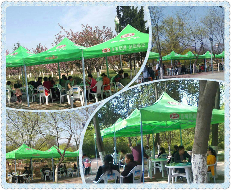 ʨ�ӻ� - ������ɫ��Ϸ����