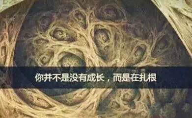 ʨ�ӻ� - ������ɫ��Ϸ����