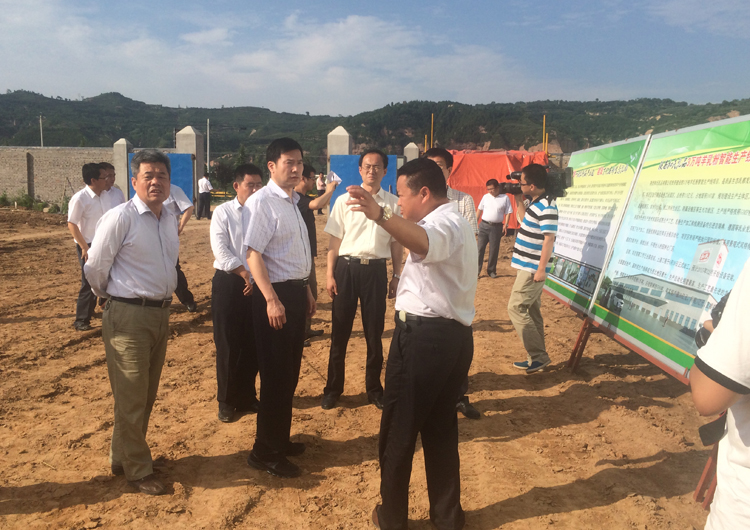 ʨ�ӻ� - ������ɫ��Ϸ����